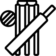 Box Cricket Icon